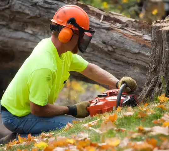 tree services Millington